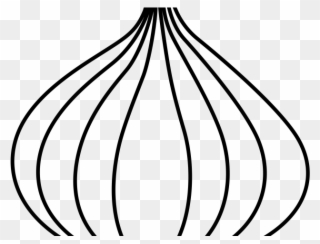 Drawn Onion Line Drawing - Drawing Clipart