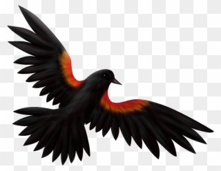 Download Svg Library Download Clip Art At Clker Com - Red Winged Blackbird Png Transparent Png