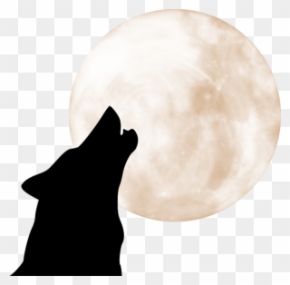 Wolves And Moons - Editorial Clipart