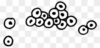 Spawn Clipart - Insect Eggs Black And White - Png Download