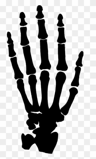 Hand Clipart Black And White Png - Skeleton Hand Clipart Png Transparent Png