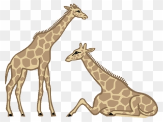 Giraffe Clipart - Giraffe Laying Down Cartoon - Png Download
