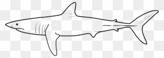 File - Shortfin Mako - Svg - Shortfin Mako Shark Clipart