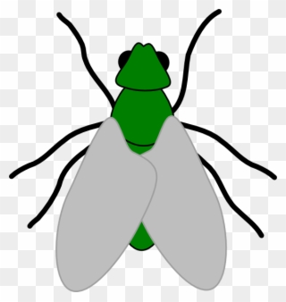 Green Fly Drawing Clipart