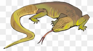 Clip Free Cliparts Zone - Monitor Lizard Cartoon Png Transparent Png