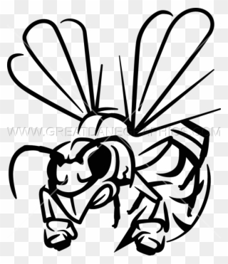 Hornet Clipart Wings - Hornet Lineart - Png Download