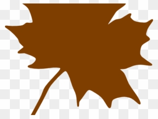 Maple Leaf Clipart Brown - Clipart Maple Leaf Canada - Png Download