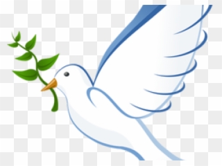 White Dove Clipart Olive Branch - International Day Of Peace 2018 - Png Download