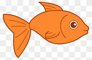 Then The Social Entrepreneur Scales The Venture And - Fish Clipart