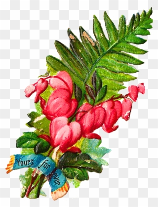 I Love Bleeding Hearts Flowers They're So Pretty And - Flower Clipart