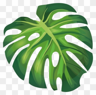 Arecaceae Euclidean Illustration Green - Banana Leaf Vector Clipart