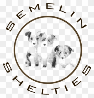 Shetland Sheepdog Laila Semelin - Shetland Sheepdog Hvalpe Logo Clipart