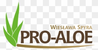 Pro-aloe Wiesława Spyra - Aloe Clipart