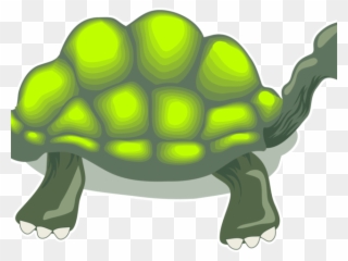 Tortoise Clipart Box Turtle - Turtle - Png Download