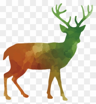 White Tailed Deer Clipart Roe Deer - Forest Animals Shower Curtain - Png Download