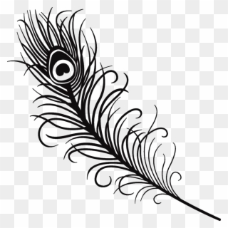 Silhouette Feather Peacock Peacockfeather Black Love - Peacock Feather Vector Black And White Clipart