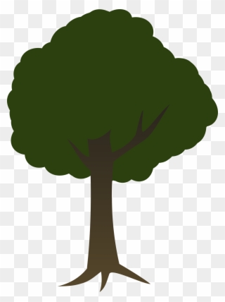 Tree - 2d Tree Transparent Background Clipart