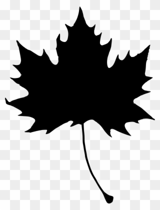 Maple Leaves Silhouette At - 楓 の 葉 イラスト Clipart