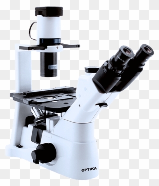 Микроскоп Xds-3lt - Optika Xds 3 Clipart