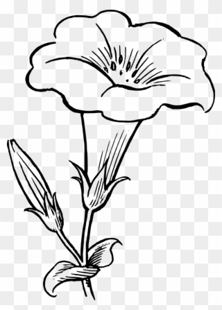 Free Png Flower Black And White Clip Art Download Page 2