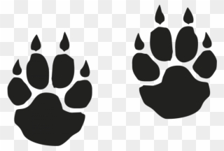 Tiger Paw Clipart - Footprint Of A Tiger - Png Download
