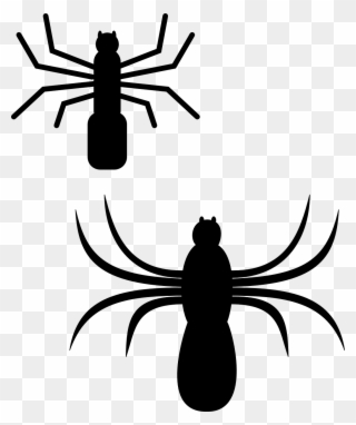 Spider Silhouette Bugs Insect Png Image - Spiders Clip Art Transparent Png