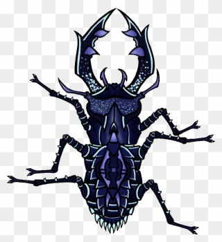 Weevil Clipart