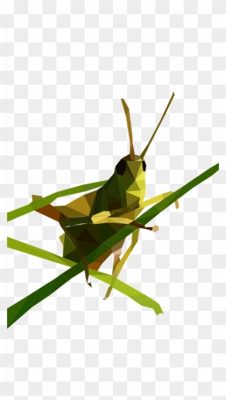 Grasshopper Low Poly Close Png Image - Low Poly Grasshopper Clipart