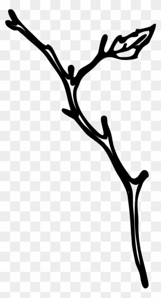 Maddie Mj - Twig Clipart