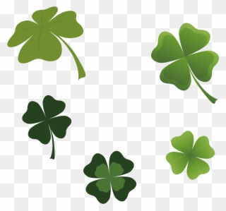 Clip Library Four Leaf Clover Luck Transprent Png Free - Four-leaf Clover Transparent Png