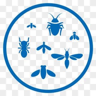 How It Works - Insect Clipart