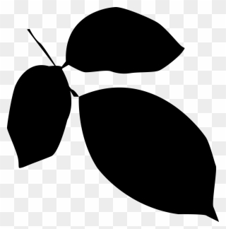 Leaves Silhouette Clipart - Png Download