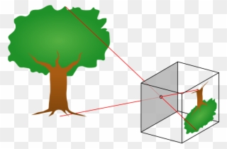 38 Camera Obscura - Function Of A Lens Clipart