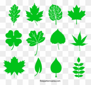 Clip Design Leaf Transparent Library - Canada - Png Download