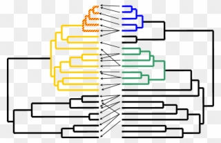 In This Hypothetical Scenario, A Plant Phylogeny Is - Coevolution Phylogeny Clipart