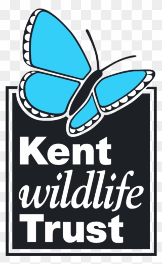 A New Art Exhibition Titled 'together Separately' Is - Kent Wildlife Trust Logo Clipart