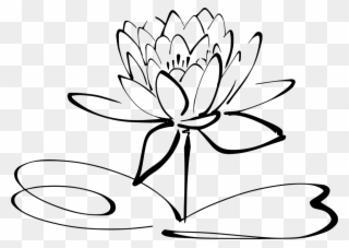 Info - Lotus Flower Black And White Clipart - Png Download