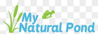 My Natural Pond - Pond Clipart