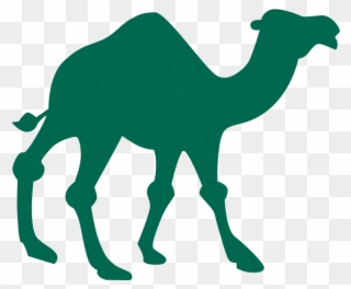 Bands And Artists With Animal Names - Camel Silhouette Clipart