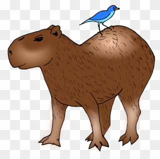 Big Image - Capybara Clipart - Png Download