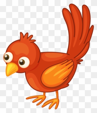 Cartoon Birdsbird Clipartcartoon - Bird Clipart White Background - Png Download