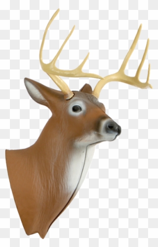 Clip Art Xl Deer 3d Archery Target Replacement Head - 3d Deer Target - Png Download