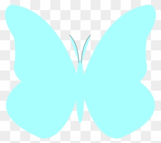 Turquoise Clipart Turquoise Butterfly - Turquoise Butterfly - Png Download