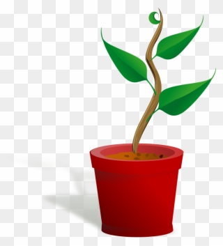 Clip Art Church Growth Free - Getting To Know Plants - Png Download