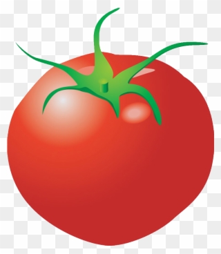 Clipart Vegetables Tomato - Verdura Png Dibujos Transparent Png