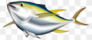 Bigeye Albacore Pacific Bluefin Illustration Cartoon - Transparent Background Tuna Clipart - Png Download