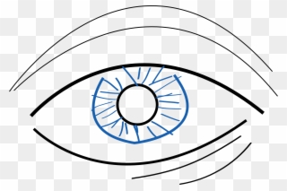 Eye Care And Learning Disabilities - Eye Drawing Png Clipart