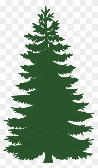 Dark Green Pine Tree Clipart