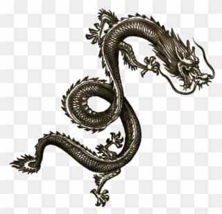 Wei Shen Tatt Dragon Tattoo Arm, Chinese Dragon Tattoos, - Wei Shen Tattoos Clipart