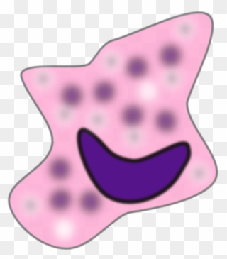 Macrophage Clip Art - Png Download